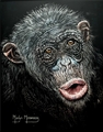 Monkey Business, Marilyn Manwaring
